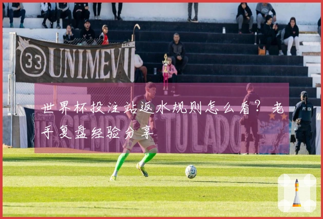 世界杯投注站返水规则怎么看？老手复盘经验分享