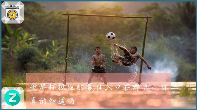 世界杯投注的最佳入口在哪儿，你真的知道吗