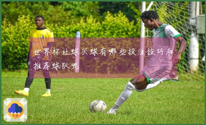 世界杯让球买球有哪些投注技巧和推荐球队呢