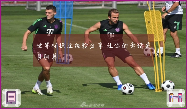 世界杯投注经验分享 让你的竞猜更具胜算