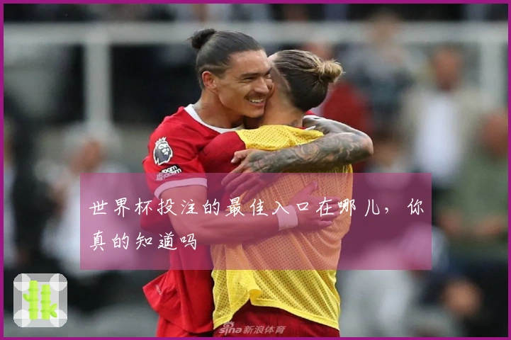 世界杯投注的最佳入口在哪儿，你真的知道吗