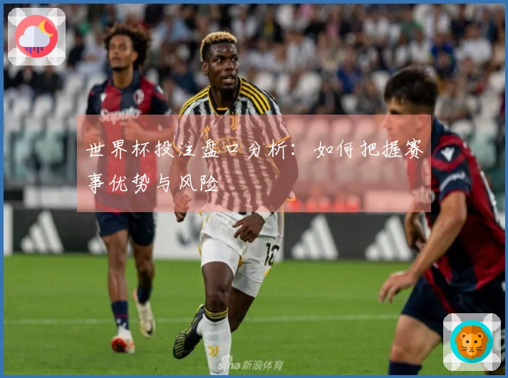 世界杯投注盘口分析：如何把握赛事优势与风险
