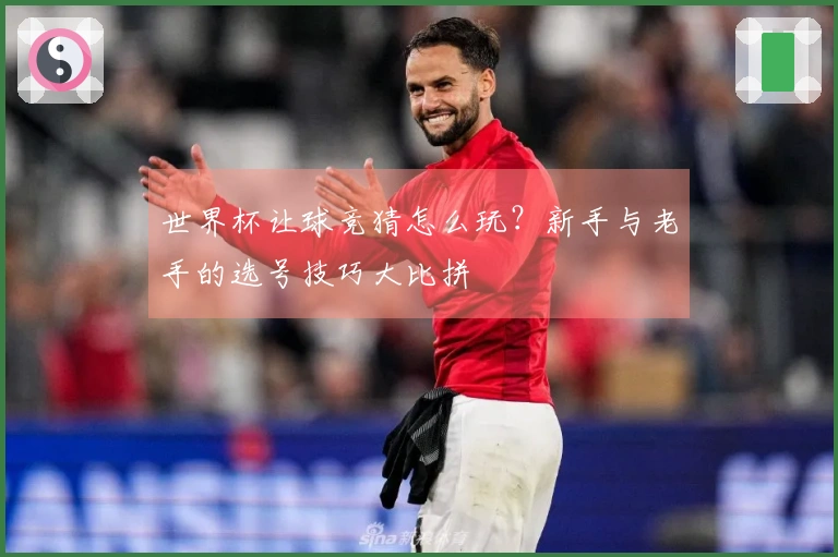 世界杯让球竞猜怎么玩？新手与老手的选号技巧大比拼