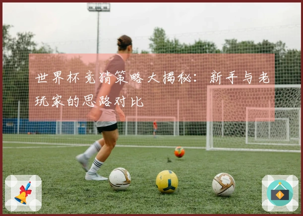 世界杯竞猜策略大揭秘：新手与老玩家的思路对比