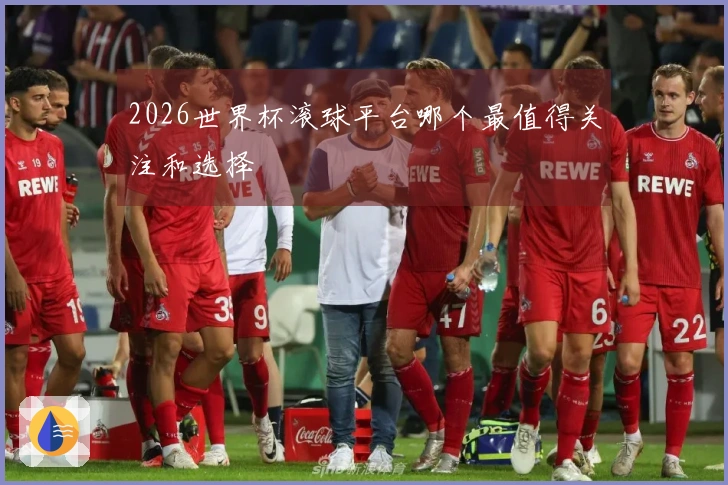 2026世界杯滚球平台哪个最值得关注和选择