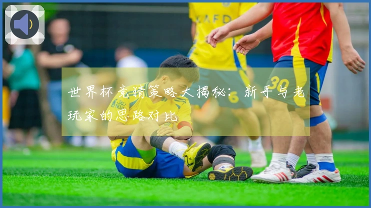 世界杯竞猜策略大揭秘：新手与老玩家的思路对比