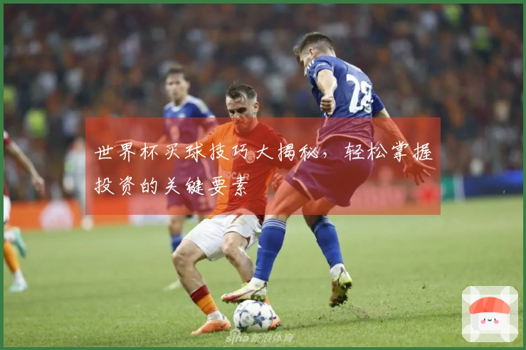 世界杯买球技巧大揭秘，轻松掌握投资的关键要素