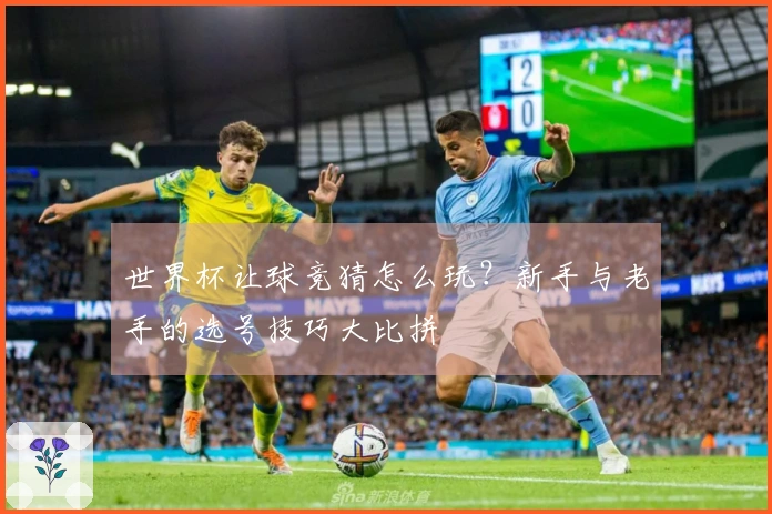 世界杯让球竞猜怎么玩？新手与老手的选号技巧大比拼