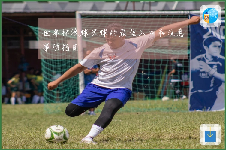 世界杯滚球买球的最佳入口和注意事项指南