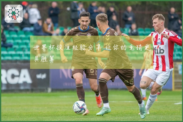 世界杯投注经验分享 让你的竞猜更具胜算