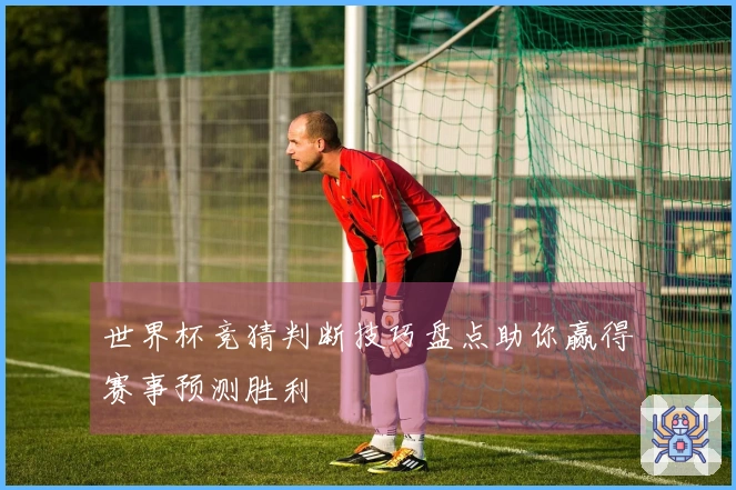 世界杯竞猜判断技巧盘点助你赢得赛事预测胜利