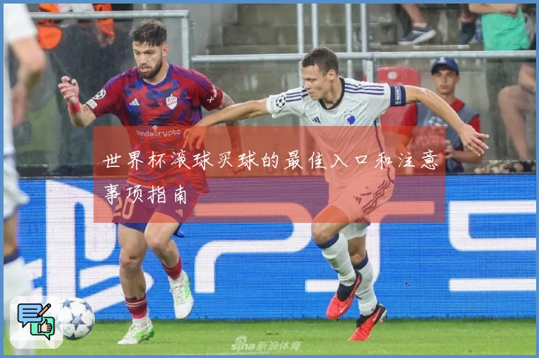 世界杯滚球买球的最佳入口和注意事项指南
