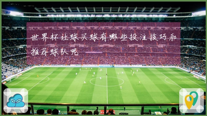 世界杯让球买球有哪些投注技巧和推荐球队呢