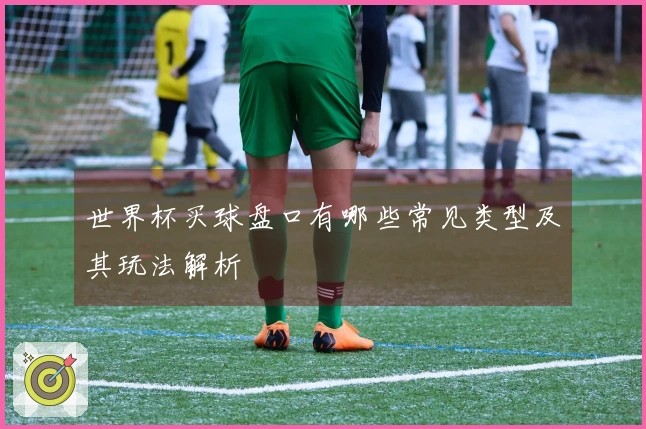 世界杯买球盘口有哪些常见类型及其玩法解析