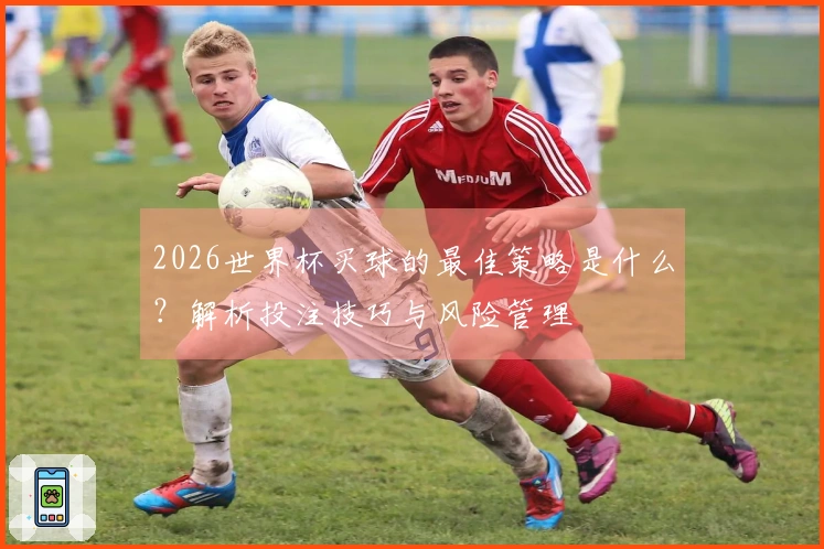 2026世界杯买球的最佳策略是什么？解析投注技巧与风险管理