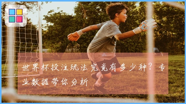 世界杯投注玩法究竟有多少种？专业数据带你分析