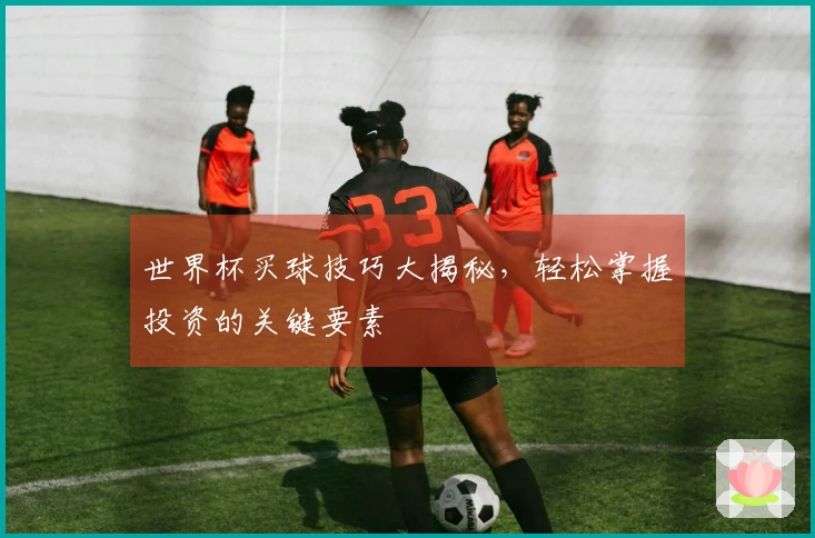 世界杯买球技巧大揭秘，轻松掌握投资的关键要素
