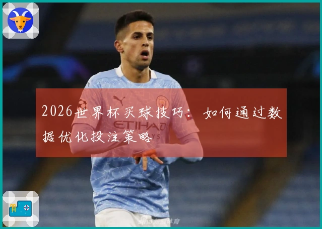 2026世界杯买球技巧：如何通过数据优化投注策略