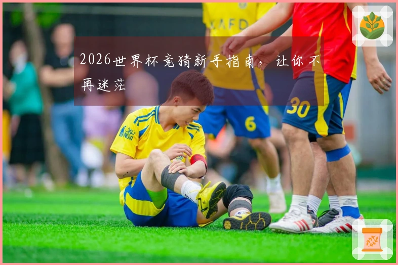 2026世界杯竞猜新手指南，让你不再迷茫
