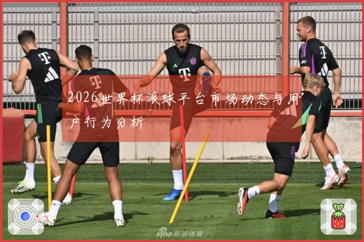 2026世界杯滚球平台市场动态与用户行为分析