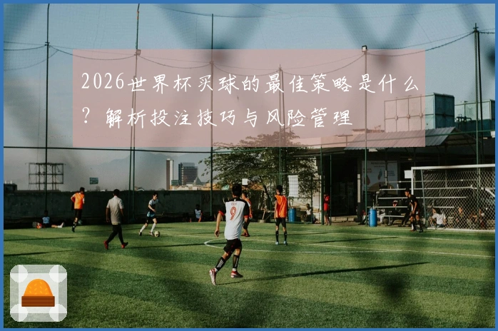 2026世界杯买球的最佳策略是什么？解析投注技巧与风险管理