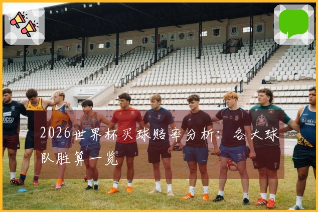 2026世界杯买球赔率分析：各大球队胜算一览