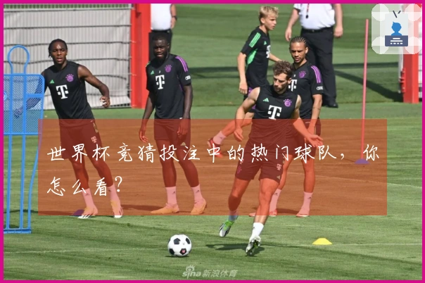 世界杯竞猜投注中的热门球队，你怎么看？