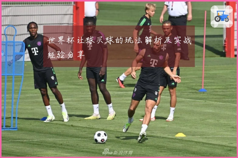 世界杯让球买球的玩法解析及实战经验分享