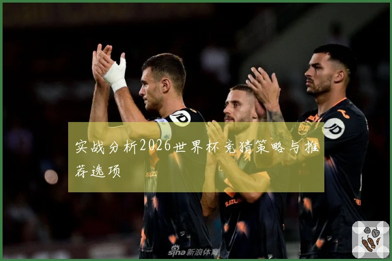实战分析2026世界杯竞猜策略与推荐选项